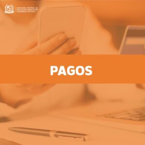 Pagos en dólares